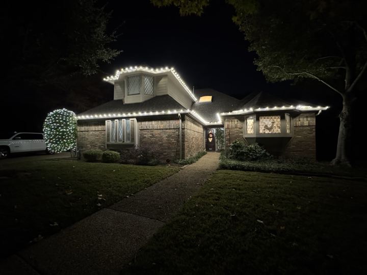 Warm white roofline and a wrapped tree